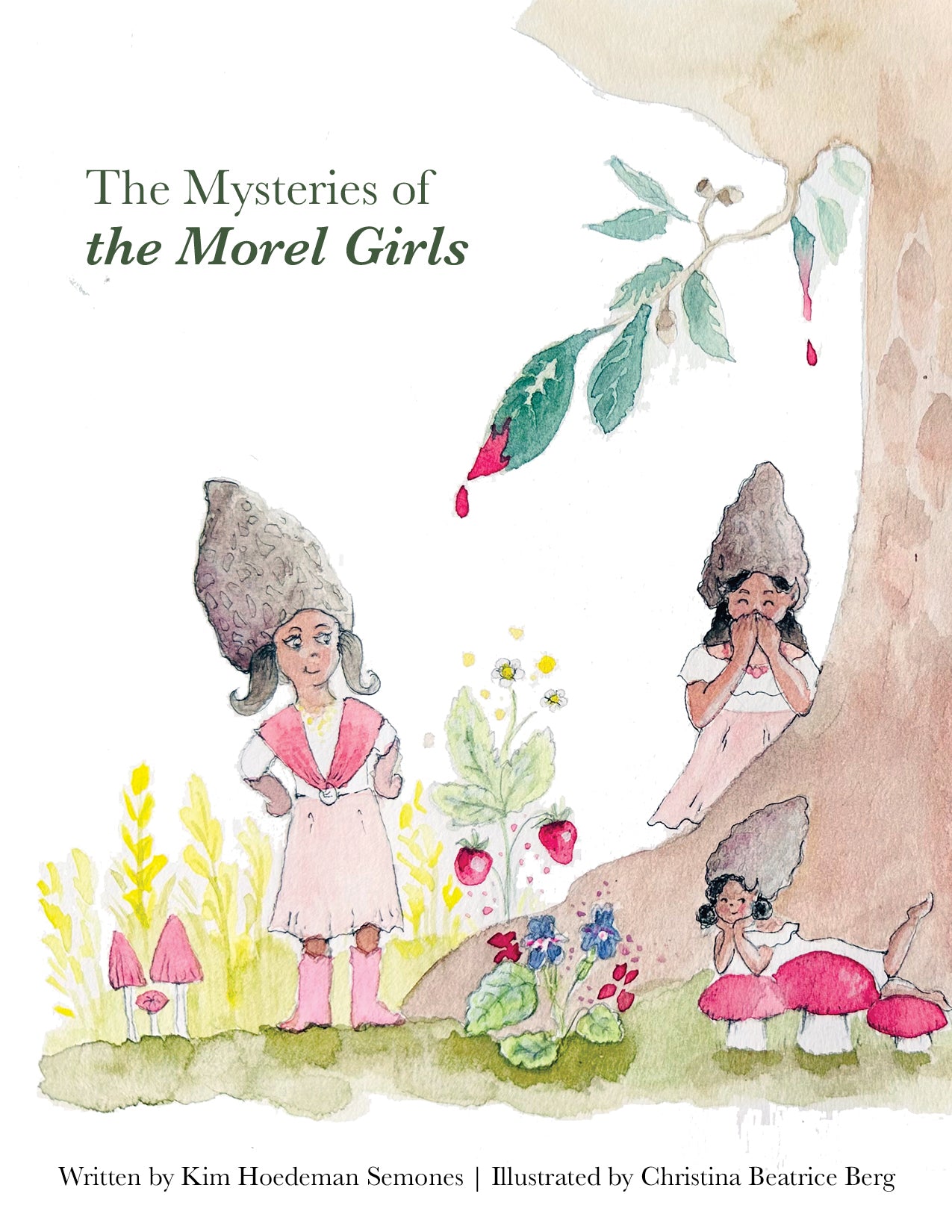 The Mysteries of the Morel Girls Book